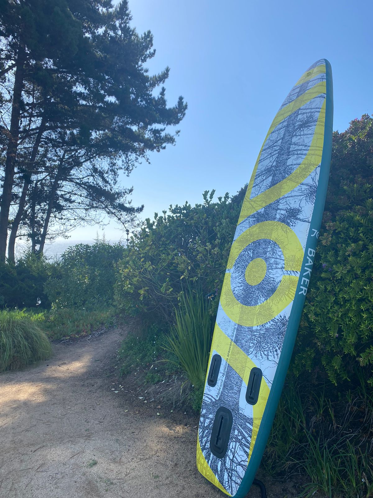 Stand Up Paddle Inflable 11´ Araucaria Chilena