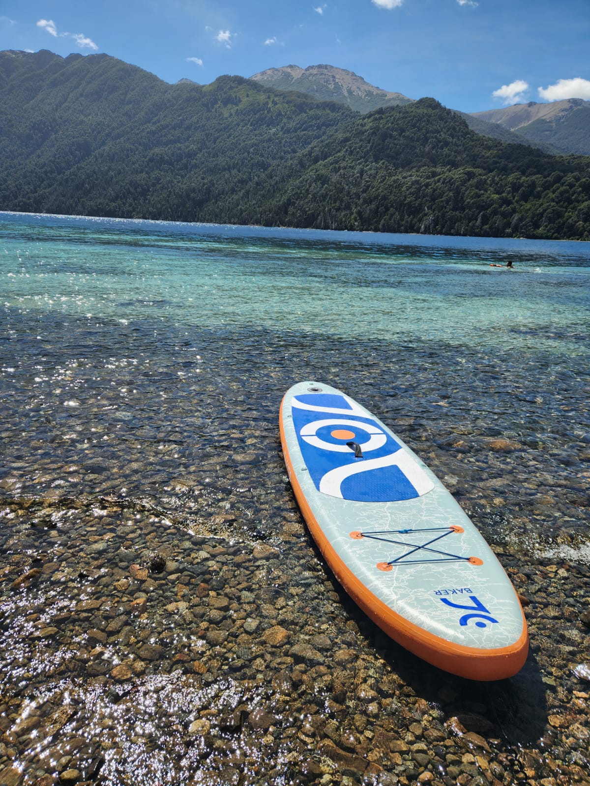 Stand Up Paddle Inflable 10´ Ballena Jorobada